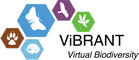 project ViBRANT logo